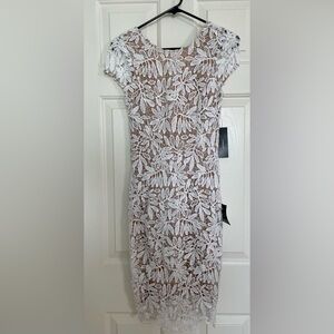 Right Sheer, Right Now Lulu Bodycon Dress